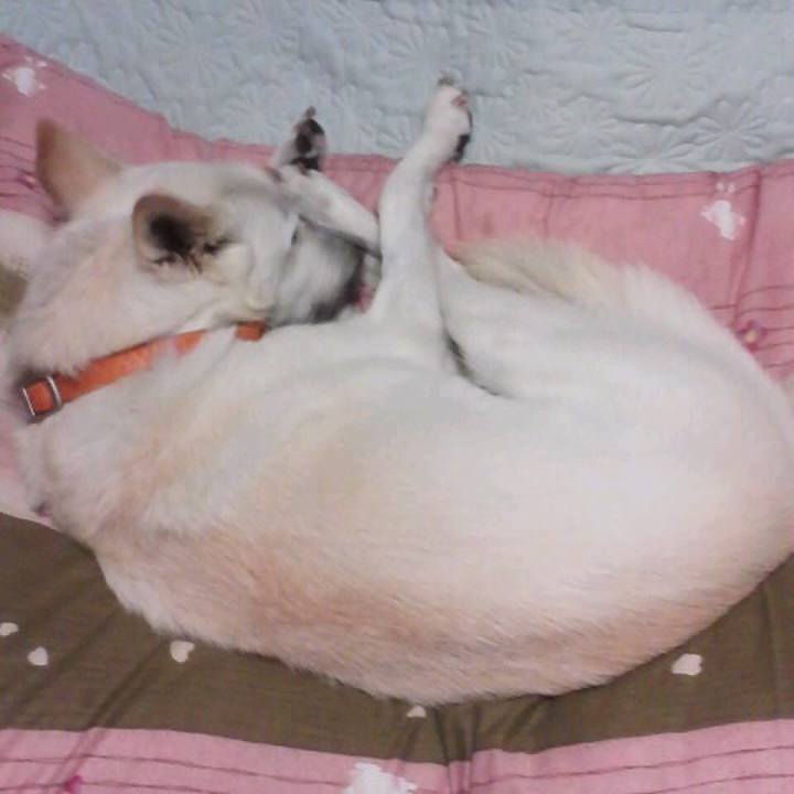 2432f7ca a979 4979 b003 8643334b96ee