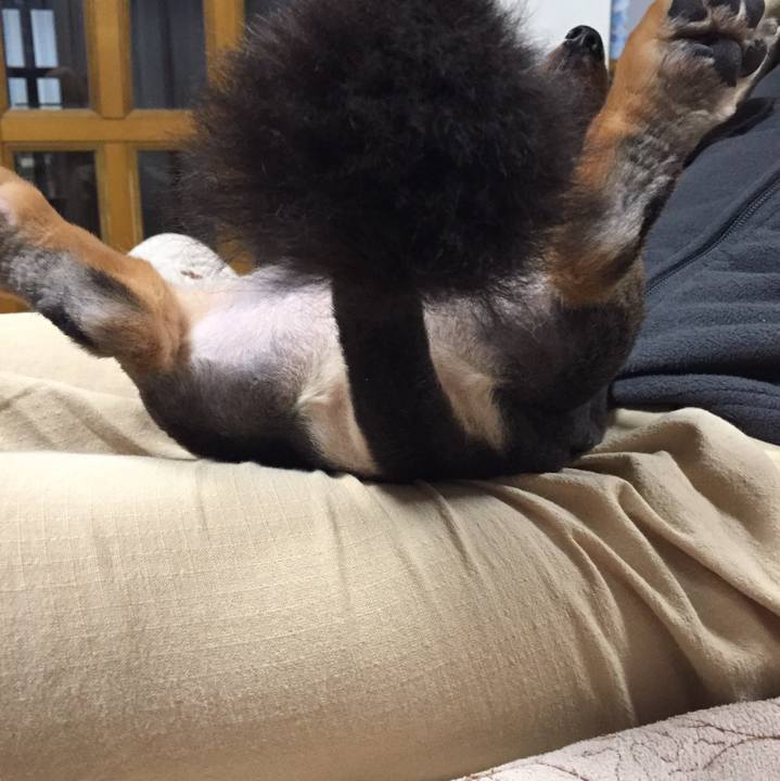 243308de d698 46c6 a414 a4e9b736d396