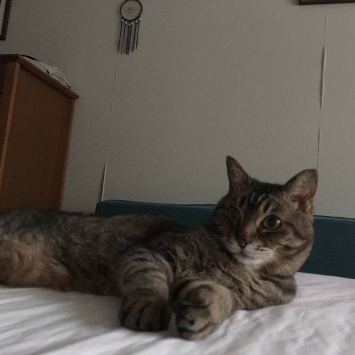 24331393 412a 4186 968d 230bfcaef107