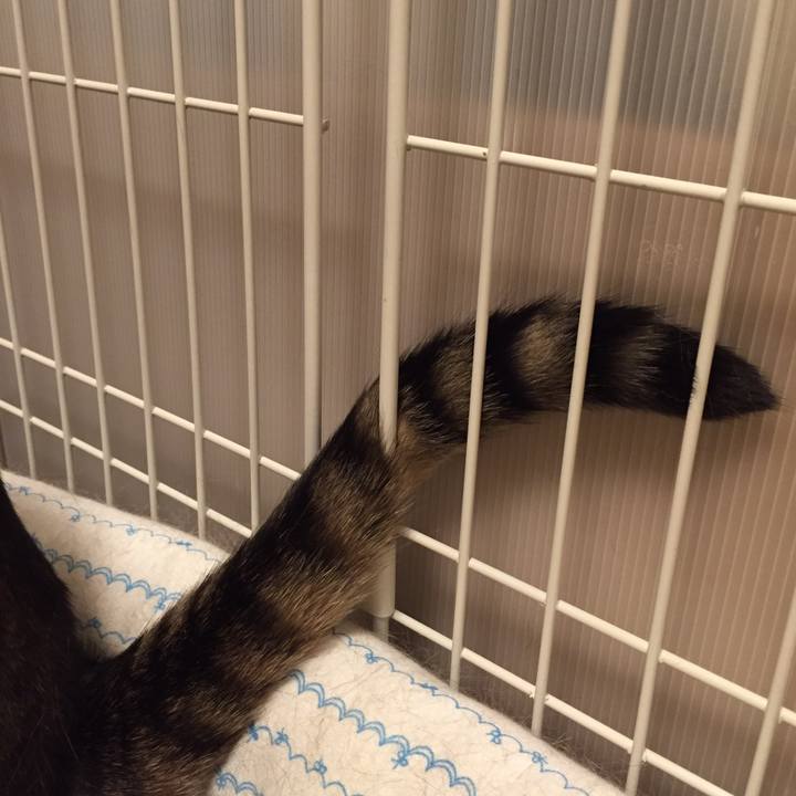 24334ae3 5b15 473d 9237 4b6743e21d1e