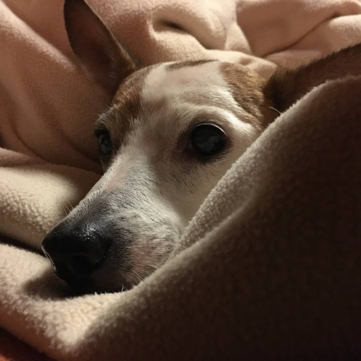 24336241 ac4d 4527 a99b d12d1d77d4e9