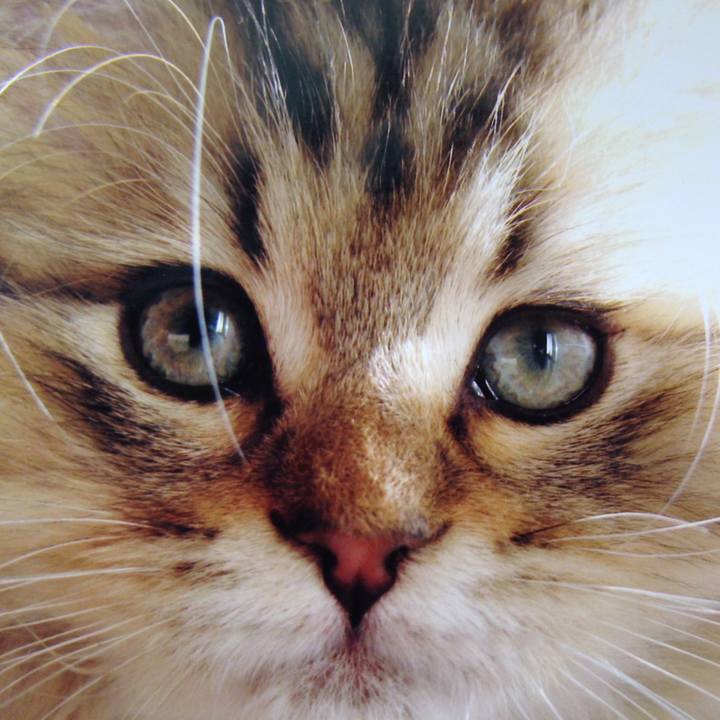 243362ab 606a 4f1c abe0 fd74c6180d18