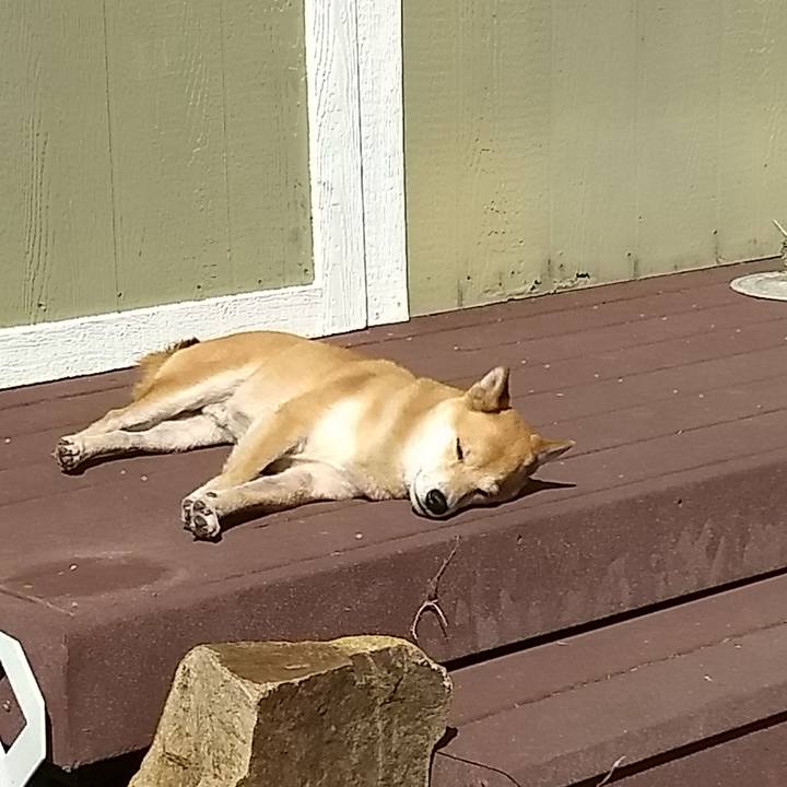 24356b8c e36e 41c2 a249 4433c4f373fa