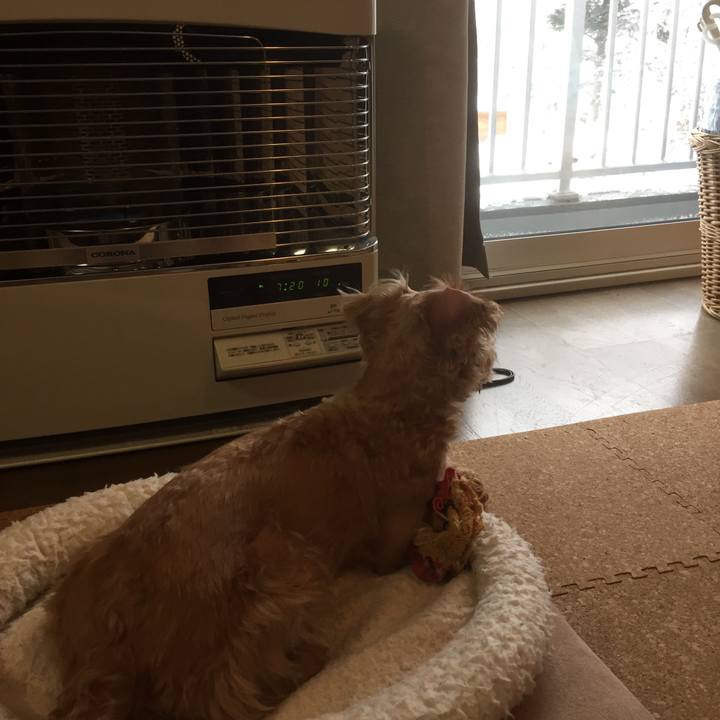 2435da82 c854 4c3f a44b 8f01f883b0d9