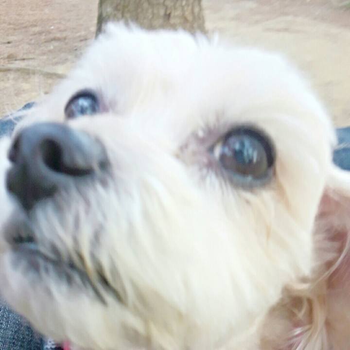 2435ed38 691d 4dfd 8409 bb7548a11ee1