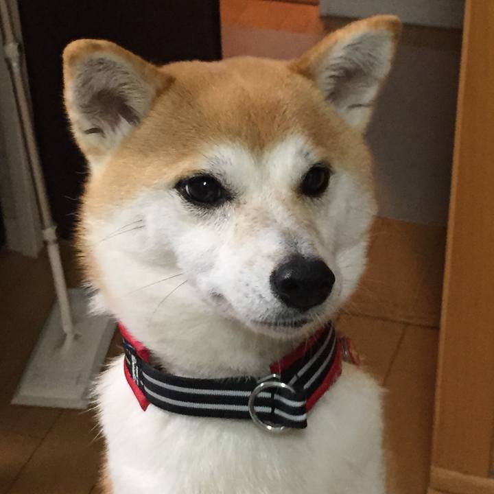 24363269 a5a9 4726 86bc 9030ef26a121