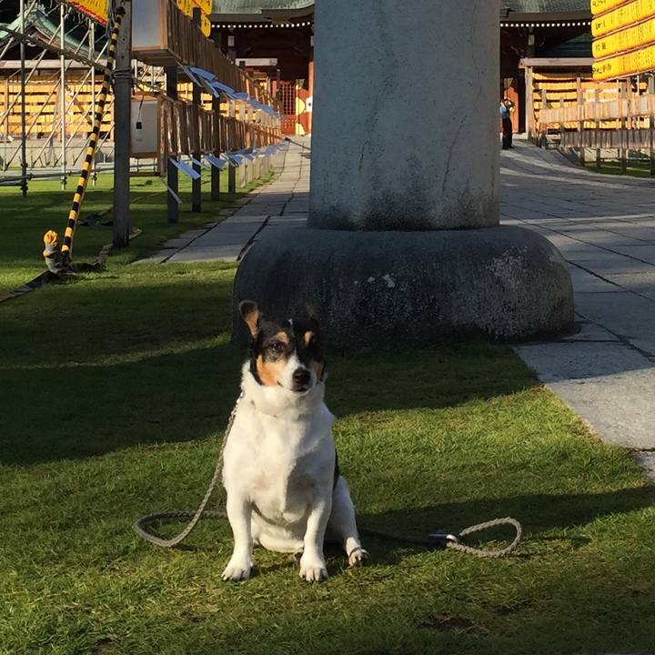 24365d12 23bb 4723 9cfb a7c2af3ab90f