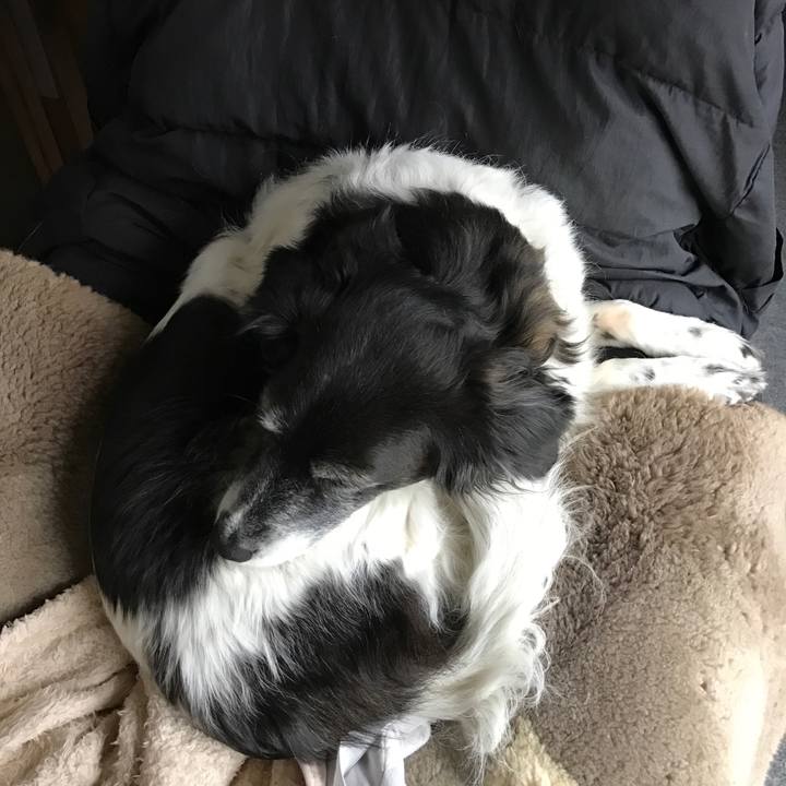 24367a40 c6a7 4eac b3b8 1a79dc7344a1