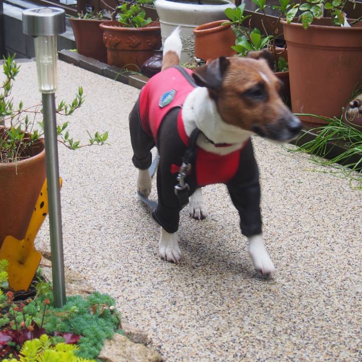 243682af 7e94 4e35 984d c9be33d566d0