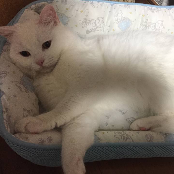 2436b2ee e1e1 43c6 9f74 a7c10f7461af