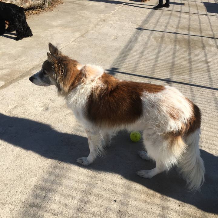 24374633 58a8 4892 925e 33bbf69eb4ec