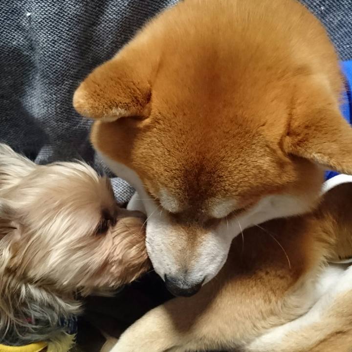 24376a2a bbbd 45ce b476 d768c849e08c