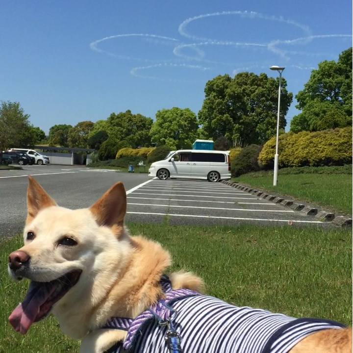 24376fbd e41b 4db3 a4b0 efa2de492d64