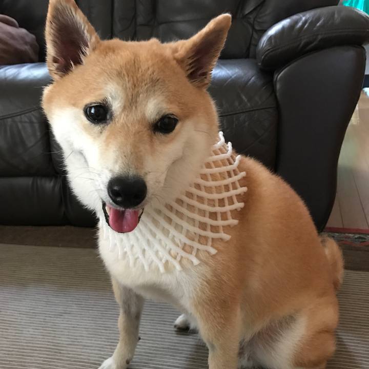 24379735 5abe 4432 ac50 a71a73570a30