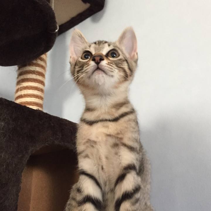 2437f926 6400 42d1 9aed 14feeef15bf6