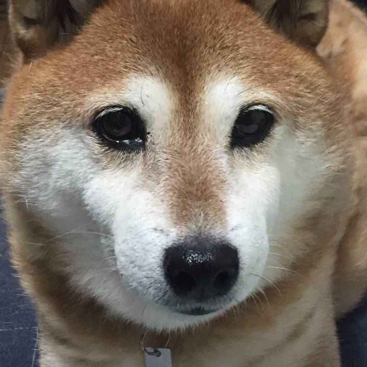 2437fc3d 8748 467a b902 7fb9edef42b4