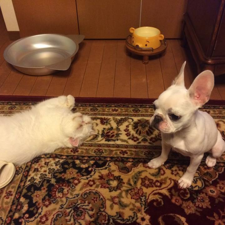 24381fa6 b6cd 428b 96c2 fe1c142fce4e