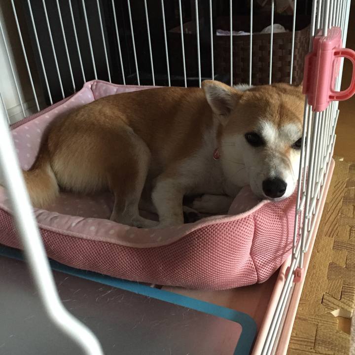 24384404 acf6 49e7 9791 965bdd259d53