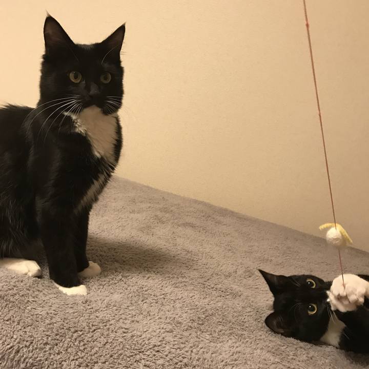 24384be4 d891 4804 b6c7 8aced7bac2e7