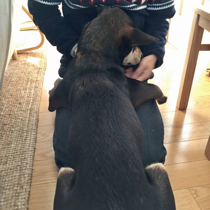 2438b4d4 bf5c 4863 8cf5 3a913c9c4cdc