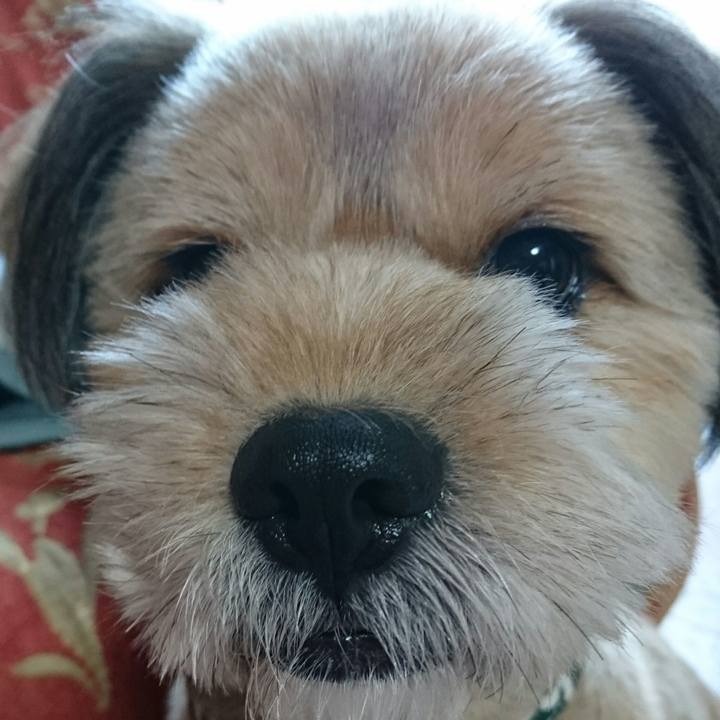 243a42c1 b0f1 4b51 a4c8 01bb58b5f6a5