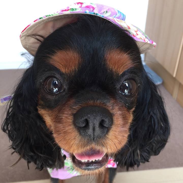 243a5782 cc46 443d 94b1 86576142f3bf