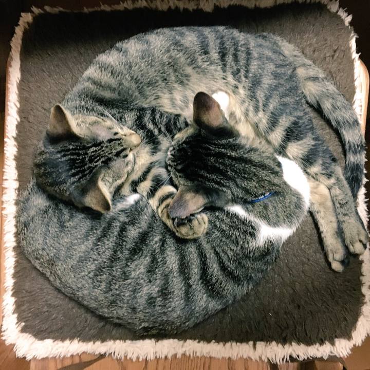 243a8f35 89f2 434d 92e8 a6c5f72457ce