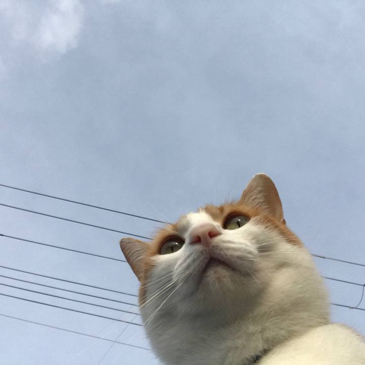 243ac6ef d250 4539 aa98 a952000b058a