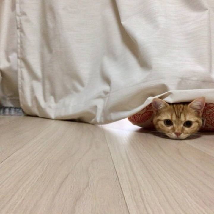 243b2c50 01c7 4973 8a64 4f71d0c8e120