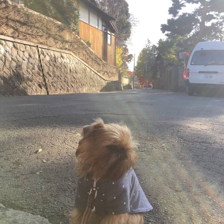 243b8a04 a82a 43e4 9462 2353abf88fc7