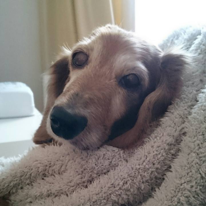 243bcda0 0e04 4581 923b 76d5fab843a9