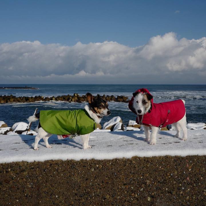 243bd71b 9c68 4512 b03a 6057c8a08410