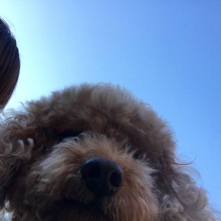 243c7a9e d385 4fa2 9245 4ca629892b21