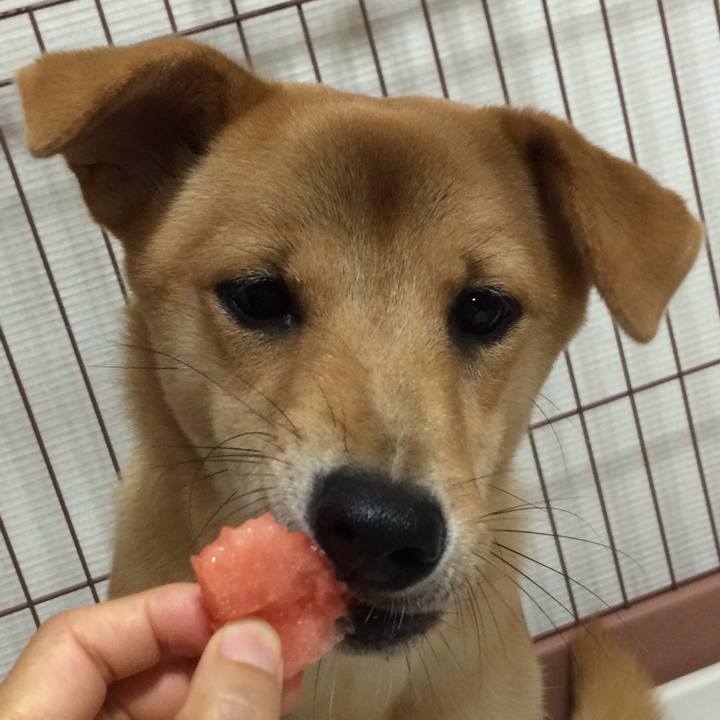 243c7c7f a360 43c7 8ec4 e9423eb87ad5