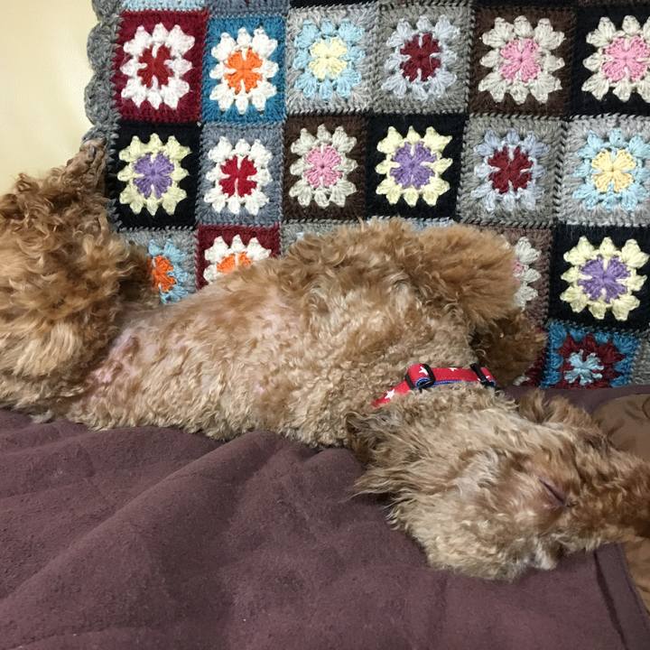 243cb734 657a 4976 868f e423e8fd1b00