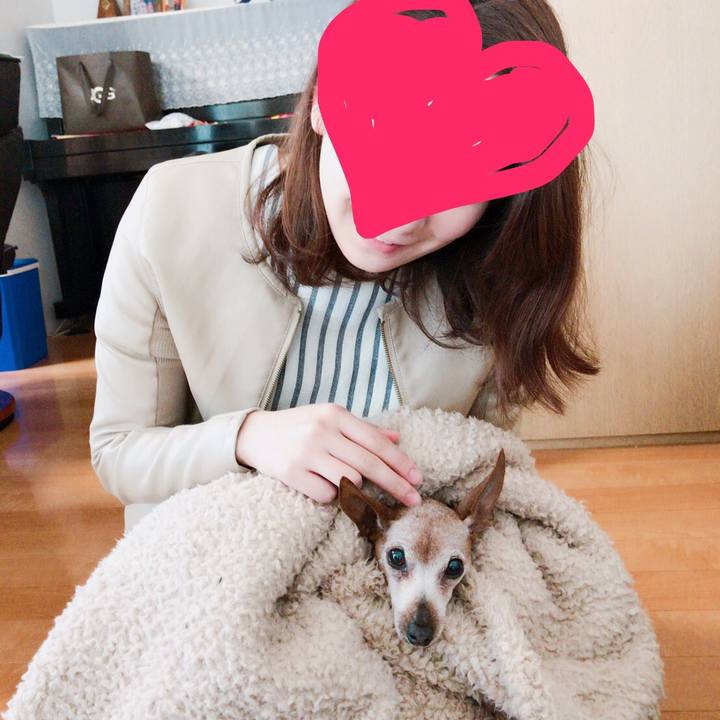 243d6f44 bc4e 48bd b252 67766e3e81b8