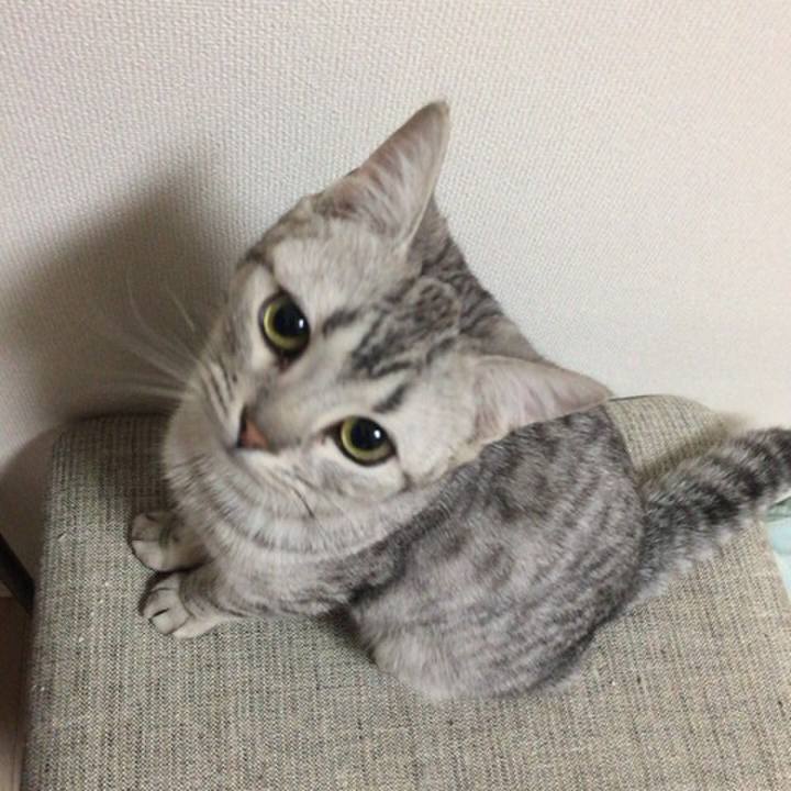 243d7b53 f95e 4b4e ad27 9fdafb07b43b