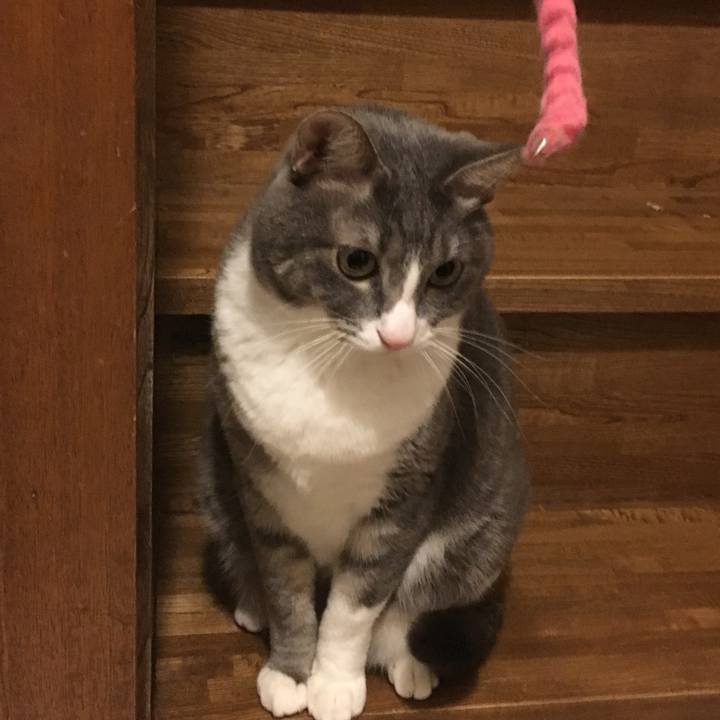 243d88d1 9216 4b61 a402 7bb5f7ed99b3