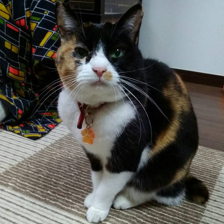 243e4d0c af61 41fd 8861 b37b35eacf3f