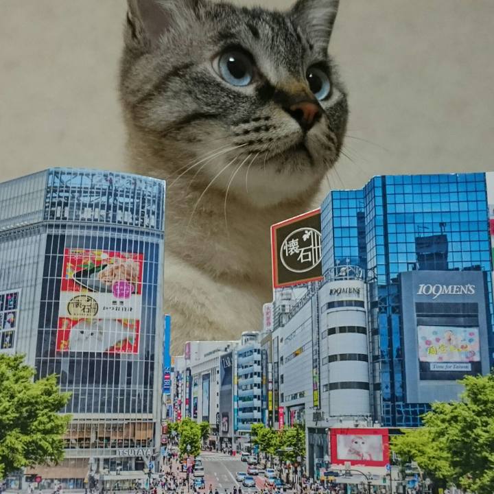 243e5640 4c8b 4309 b45d 8642e3629640