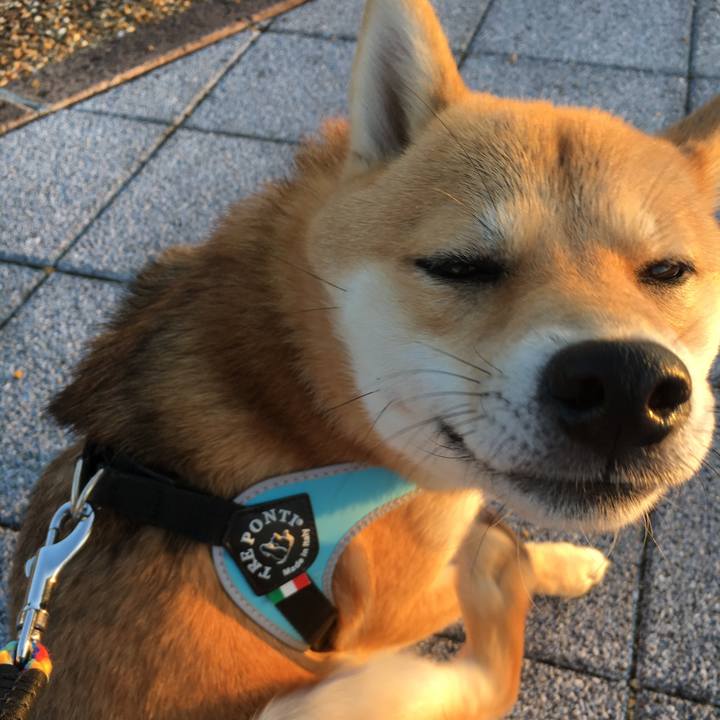 243f1f46 26b1 4407 9794 74d7da2e4715