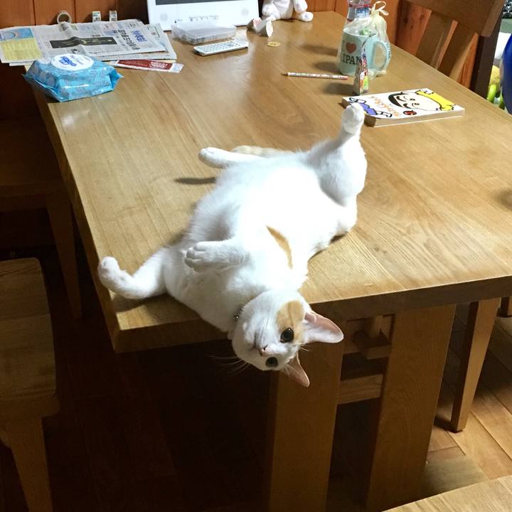 243f2cb6 651c 436a bb52 b9b51fcb01d7