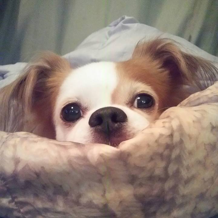 243f749b 2d4a 4f5b abe0 995b25233948