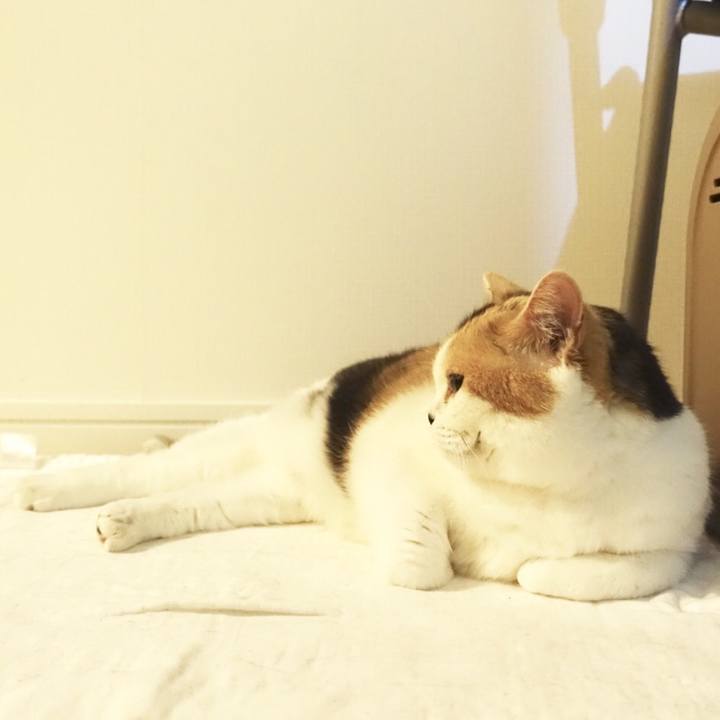 243fa9e4 038a 4109 9489 0f26e7ceb073