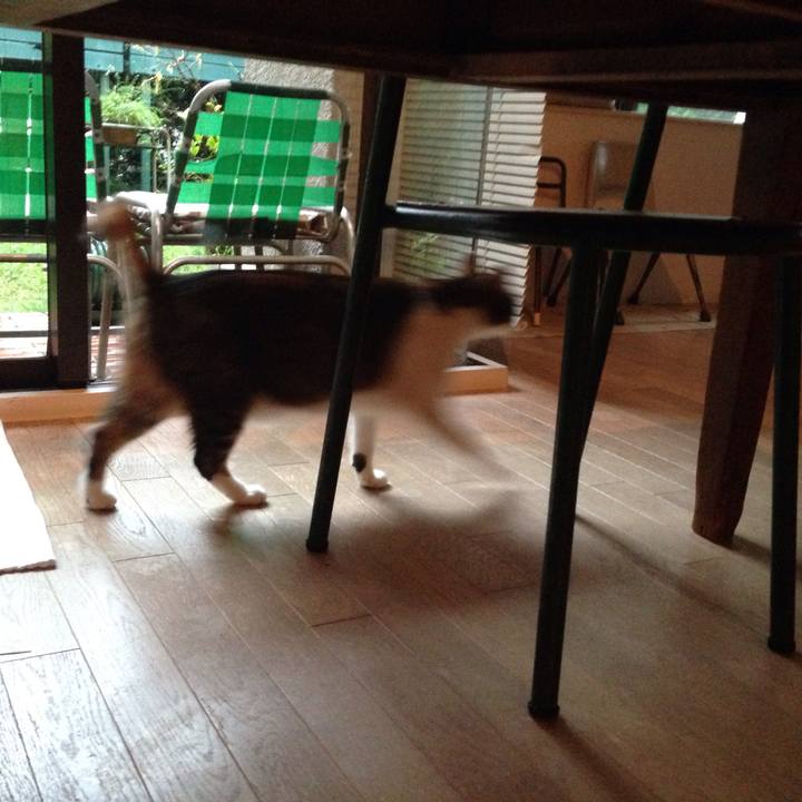 2440420c dabb 4268 9b19 fc44e730389f