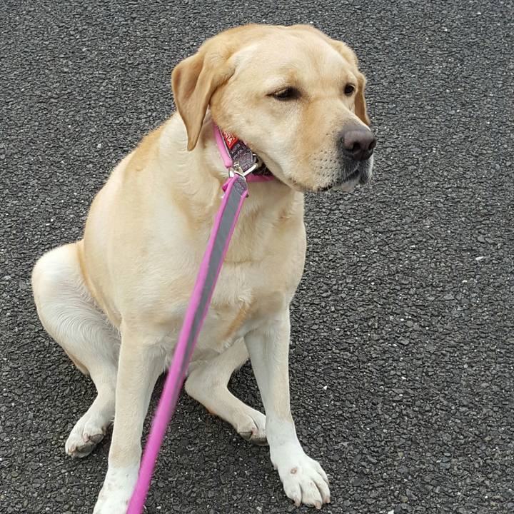 2440b2e1 5864 4ce2 bba8 6033c9175dae