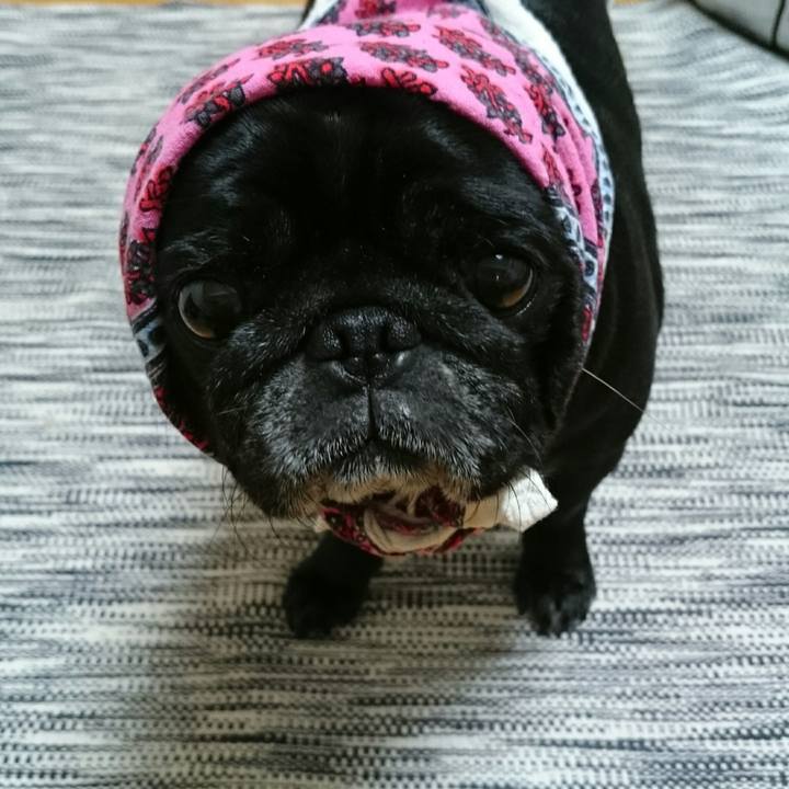 2441d53e 66a5 4c00 9aa3 9fbe9b071319