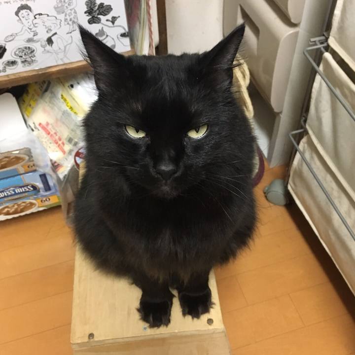 2441eb9e 61aa 4589 afb9 aef59824e9ea