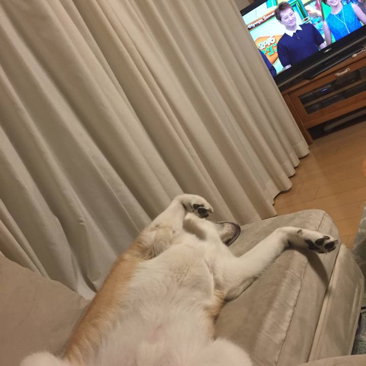 244256a1 9364 4719 b493 c2f919513d7e