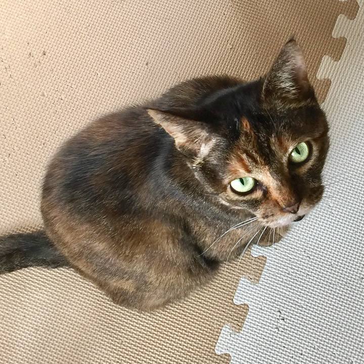 24425c18 cbe5 45f0 b186 d194caba5921